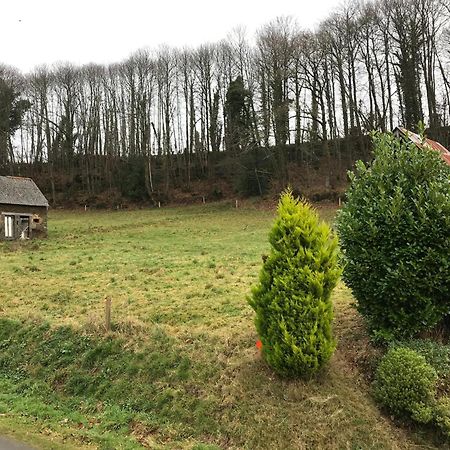 Modern Cottage In Normandy With Large Garden Isigny-le-Buat Kültér fotó