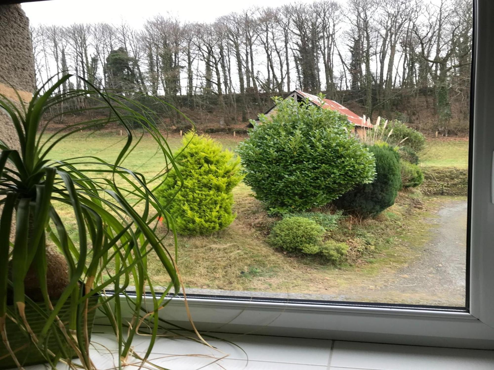 Modern Cottage In Normandy With Large Garden Isigny-le-Buat Kültér fotó